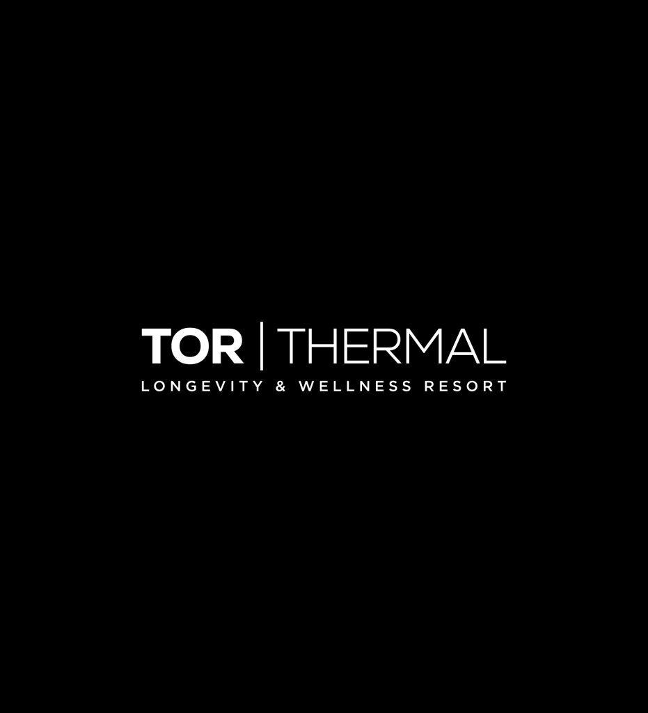 tor logo